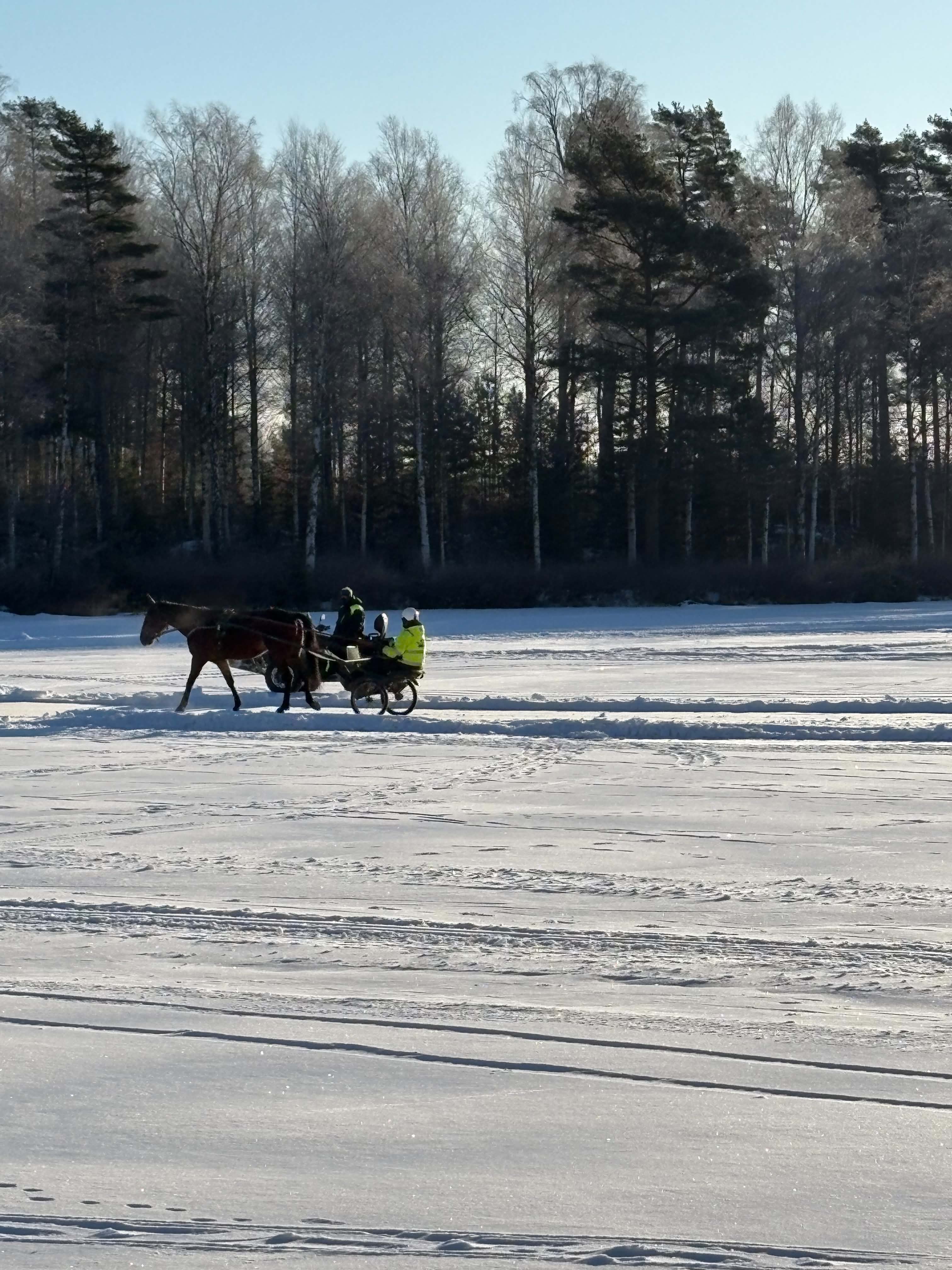 Zimní termíny otevřeme podle sněhových podmínek ❄️
